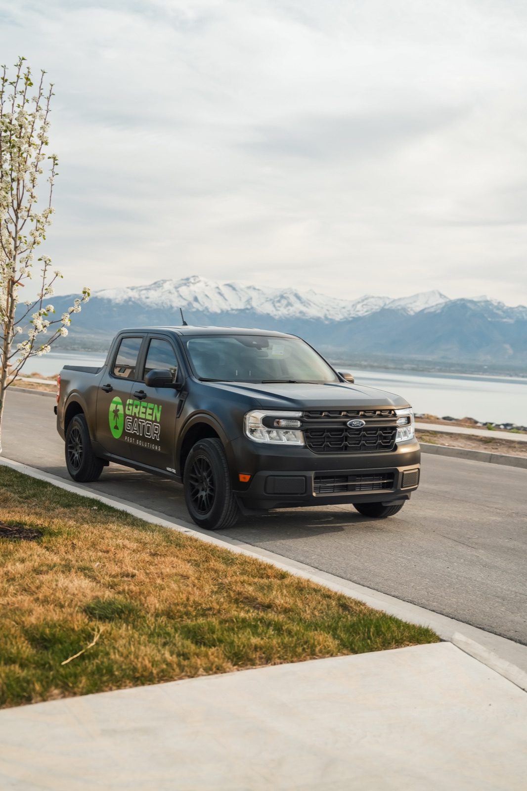 Green Gator weevil treatment in Utah