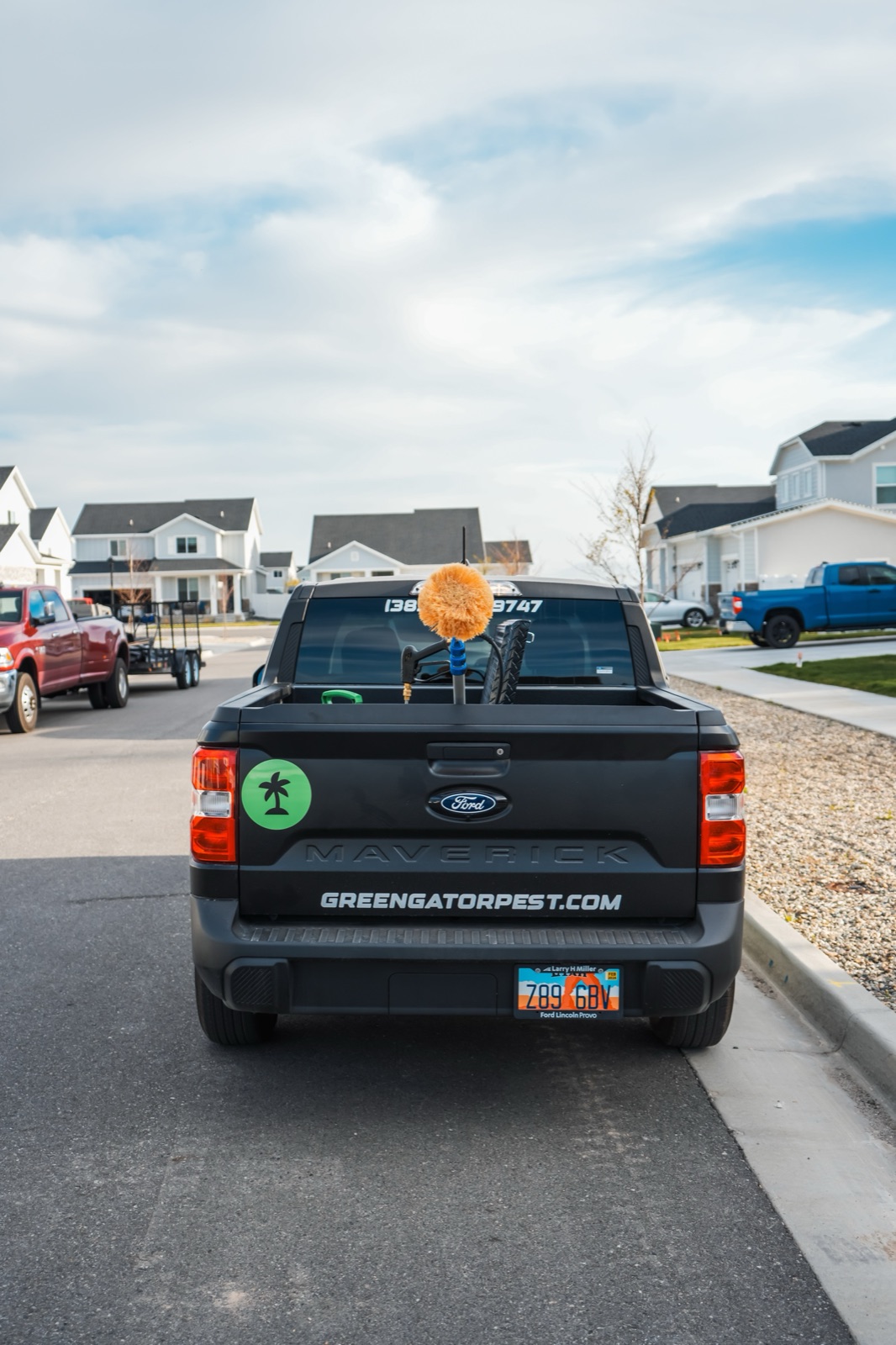 Green Gator pantry beetle control in Utah