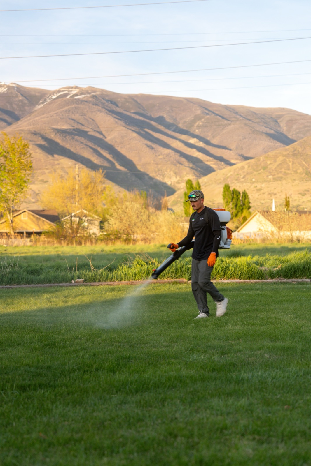 Pest control in Farr West, Utah
